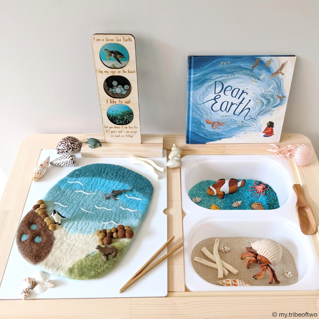 Tara Treasure | 羊毛氈手工玩具-海洋與潮間帶遊戲墊